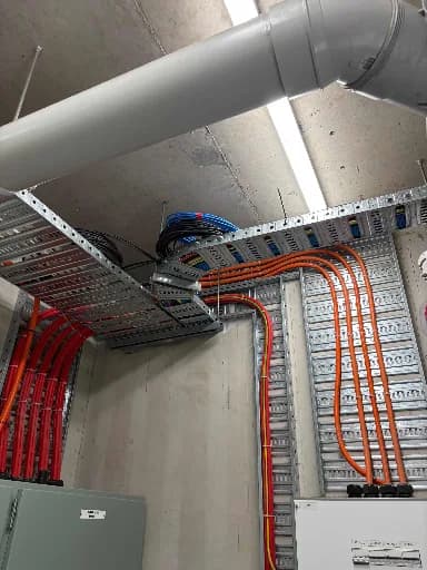 Cable trays and conduit in a plant room